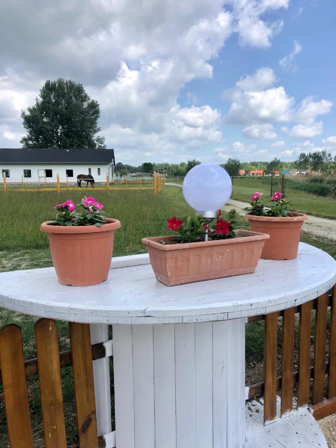 Hotel Karam Vendeghaz Es Lakasetterem Nagybajcs Exteriér fotografie
