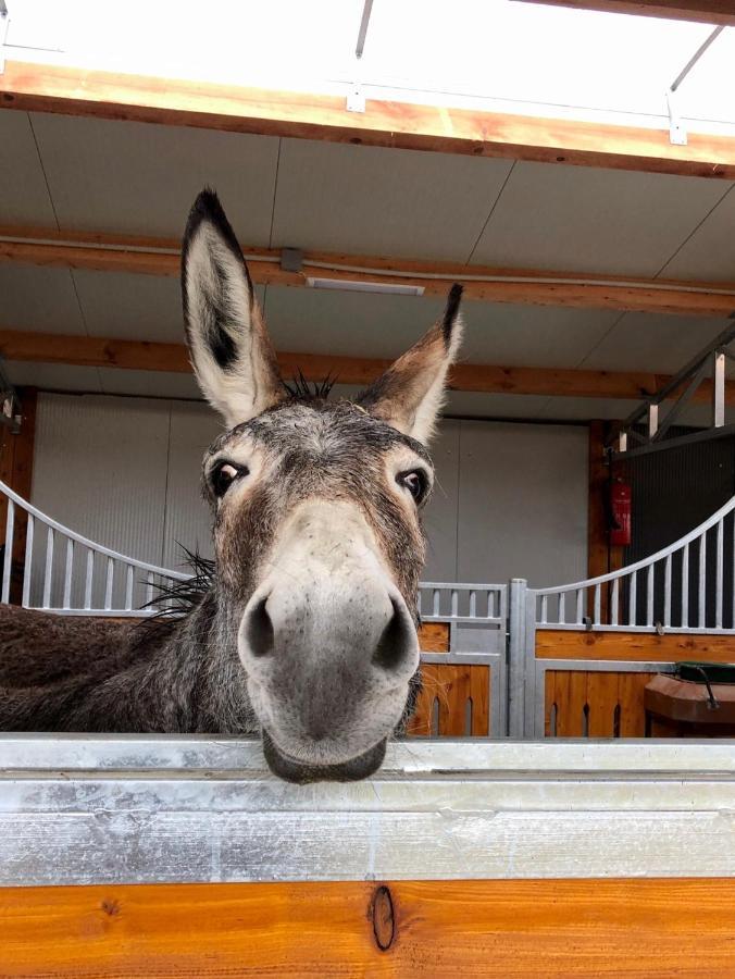 Hotel Karam Vendeghaz Es Lakasetterem Nagybajcs Exteriér fotografie